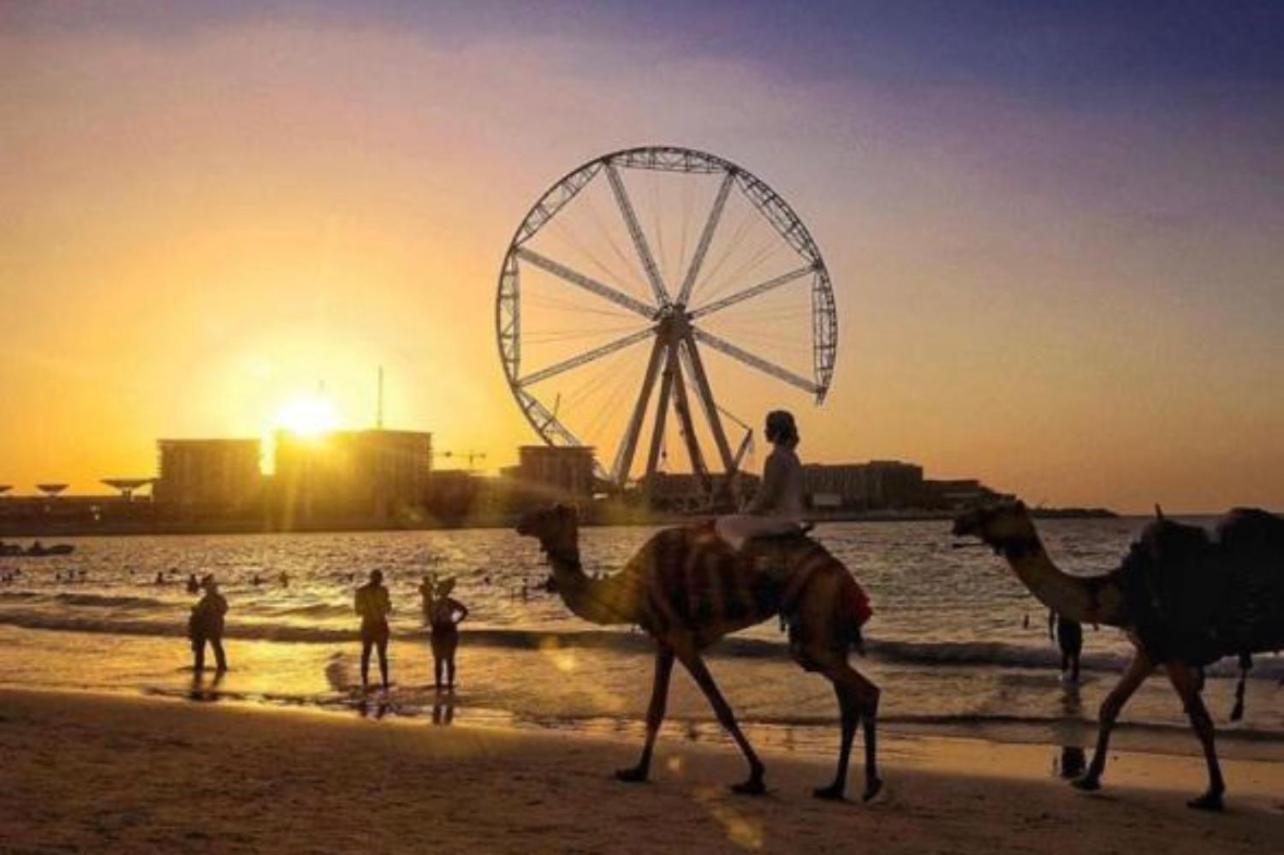 Seaview Beach Hostel Jbr - Walk To Beach - Gym - Pool - Metro Station Dubai Buitenkant foto