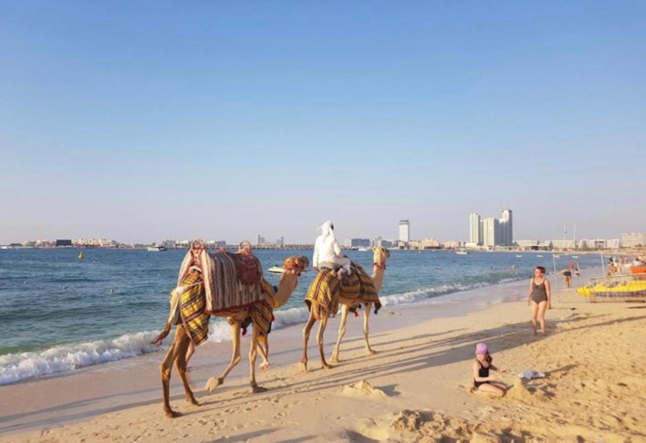 Seaview Beach Hostel Jbr - Walk To Beach - Gym - Pool - Metro Station Dubai Buitenkant foto